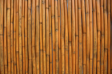 A wall of dry bamboo stems. Background. Texture. Substrate.