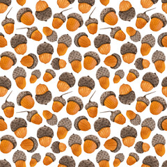 Watercolor seamless autumn pattern with various oak acorns. White background