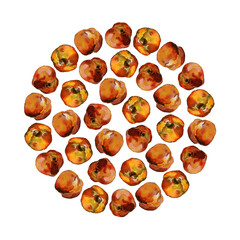 Circular composition of yellow-red peaches isolated on white. Watercolor illustration. Round graphic element for scrapbooking, cards, menu, packaging and stationery design.