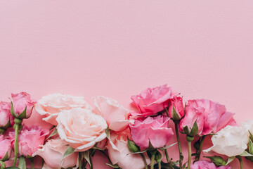 pink roses on pink background. Space for text