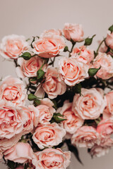 bouquet of roses on light background