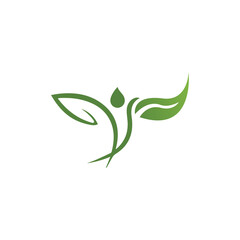 Logos of green Tree leaf ecology