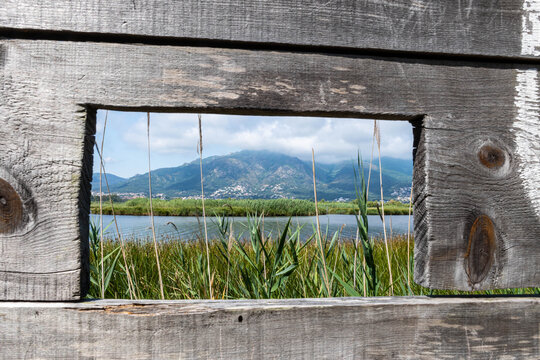 view from the window of biguglia lake in corsica