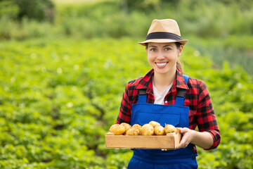 woman gardener with potatoes in box