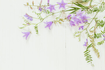bellflower on white wooden background