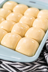 Dinner rolls