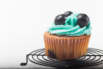 Cranberry cupcake with blue cream on white background, homemade lactose free