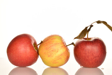 Ripe red apples, close-up, on a white background.