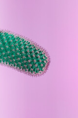 Surreal green cactus on a purple background
