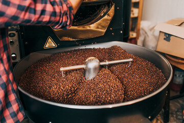 Man's hands holding freshly roasted aromatic coffee beans over a modern coffee roasting machine.