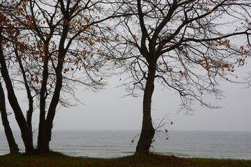 visiting Ruegen at the Baltic Sea