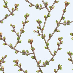 Watercolor botanical seamless pattern. Sprigs of cherries with buds on a gray background. Delicate print for fabric, wallpaper or wrapping paper.