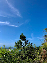 blue sky and clouds
