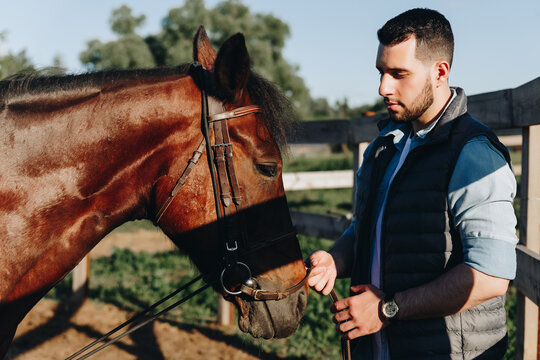 Young stylish man holds a horse under a rein.