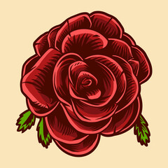 rose vector illustration design isolated