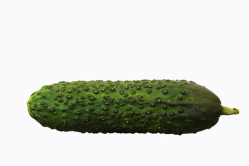 Cucumber on a white background. Isolated object .
