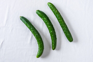 夏野菜の美味しそうなきゅうり