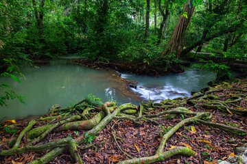 Than Bok khorani waterfall.
