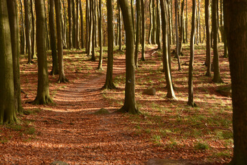 visiting Rügen, Germany