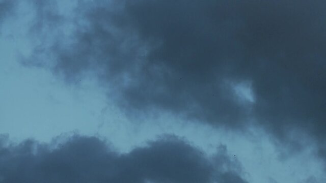 sky, clouds & small bats