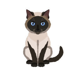 Vector illustration of funny siamese cat isolated on white background