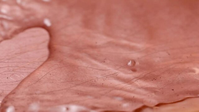 Copper. Timelapse of copper oxidation process. Chemical reaction of a copper plate interacts with an oxidizing agent