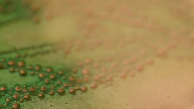 Copper. Copper oxidation process. Green bubbles close up. Chemical reaction a copper plate interacts with an oxidizing agent.