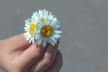 Barbecue and burgers that are prepared on the grill in the woods in nature