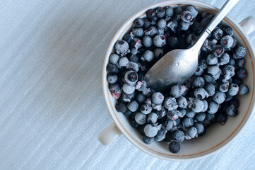 Fresh ripe organic blueberries in a frozen black bowl on a white background