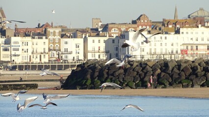 English city with seagulls at the sea