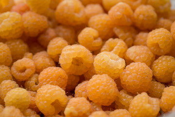Yellow Raspberries close up. large number