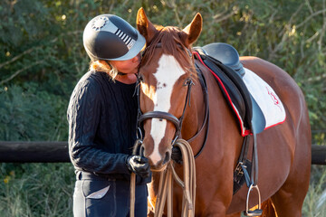 Obraz premium Horse reward