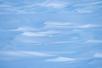 Beautiful winter background with snowy ground. Natural snow texture. Wind sculpted patterns on snow surface. Arctic, Polar region.