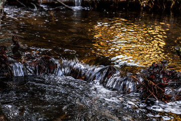 waterfall in the forest