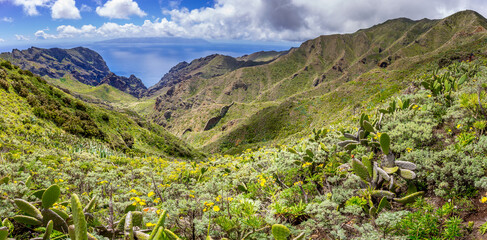 Panoramic highland green valley landscape, Tenerife, Canary islands, Spain - 360878494