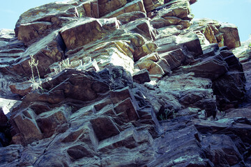 Cliff view on an early summer morning surrounded by green trees. Shallow depth of field