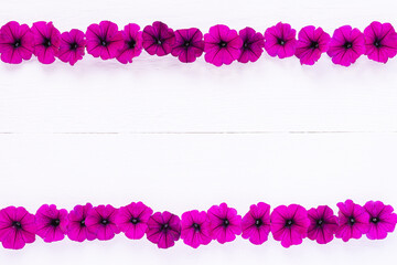 Purple Petunia Flowers on White Boards