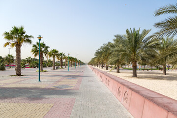 A wide sidewalk along which palm trees and tropical plants grow. A wide sidewalk along which palm...