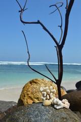 the view on the beach with everything around it