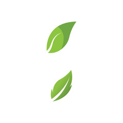 Leaf Logo Template vector symbol