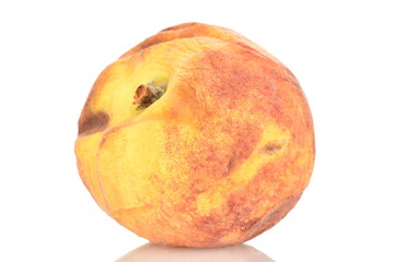 Dried peach close-up isolated on a white background.
