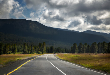 Naklejka premium Long road. Highway among white clouds in a blue sky. summer landscape green trees and grass