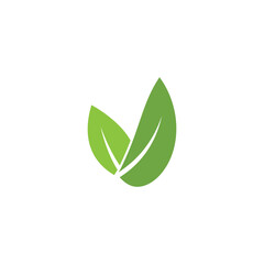 Leaf Logo Template vector symbol