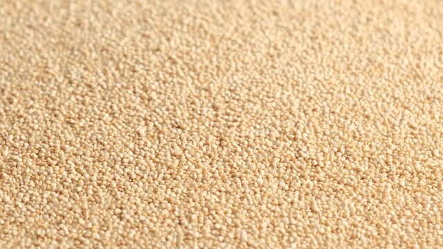 White raw quinoa rotating, South American grain. Healthy and gluten free food concept background.
