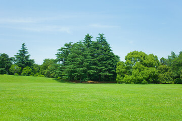 Green Garden