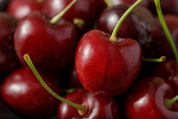 Fresh ripe garden cherries closeup