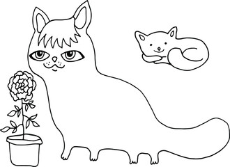 cat and mouse