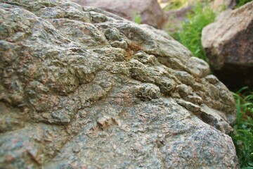 moss on stone
