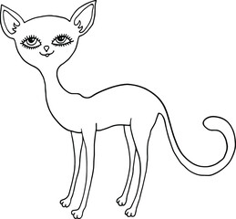vector illustration of a cat