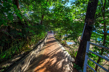 Background of wooden walkways (wooden bridges) created for high-angle views on mountains, natural attractions, or parks that have forest preservation